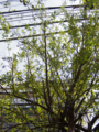20150409121218
