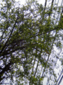 20150409121327
