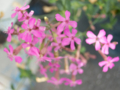 20150409121840