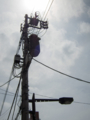 20150409122542