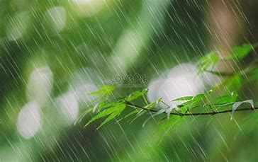 f:id:mitasu-mitasu:20210815133936j:plain