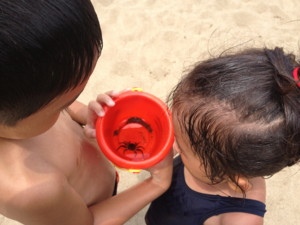 f:id:mitch-mitch:20130722124318j:image:w250