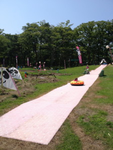 f:id:mitch-mitch:20130809104210j:image