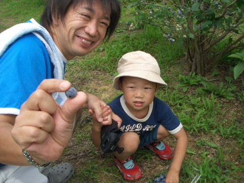f:id:mitchel-uehara:20210509163757p:plain