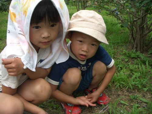 f:id:mitchel-uehara:20210509163805p:plain