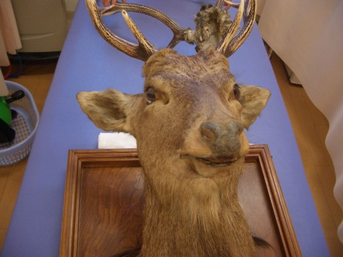 f:id:mitchel-uehara:20210509164350p:plain