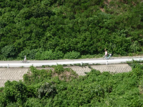 f:id:mitchel-uehara:20210512190117p:plain