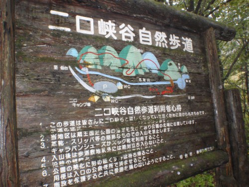 f:id:mitchel-uehara:20210514072014p:plain