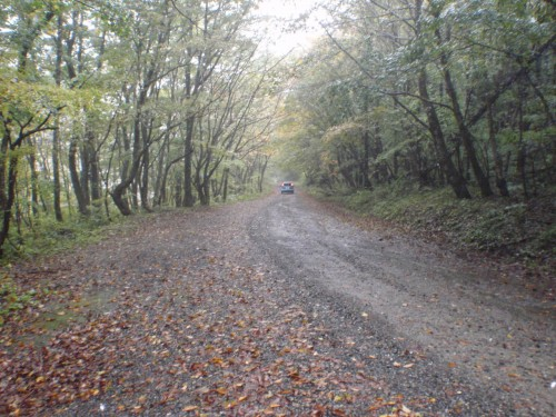 f:id:mitchel-uehara:20210514072109p:plain