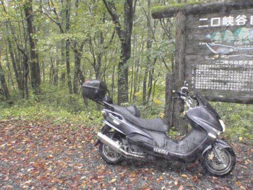 f:id:mitchel-uehara:20210514072137p:plain