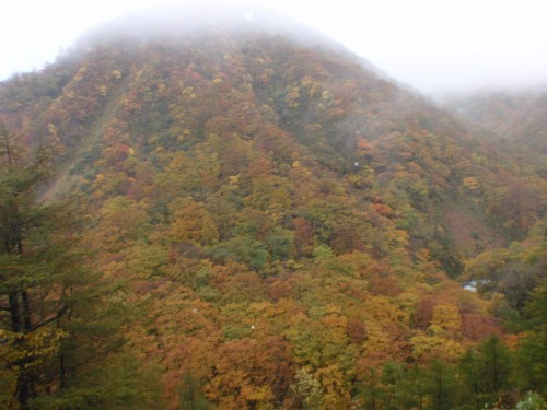 f:id:mitchel-uehara:20210514072308p:plain