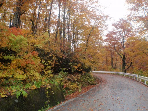 f:id:mitchel-uehara:20210514072333p:plain