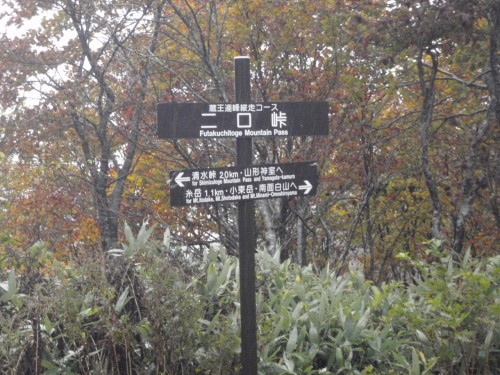 f:id:mitchel-uehara:20210514072403p:plain