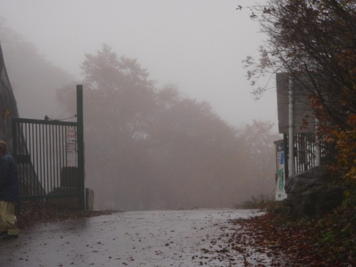 f:id:mitchel-uehara:20210514072450p:plain