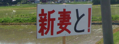 f:id:mitchel-uehara:20210518101419p:plain