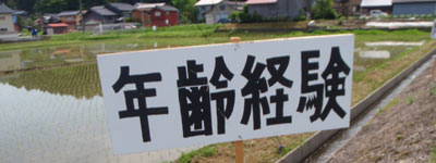 f:id:mitchel-uehara:20210518101544p:plain