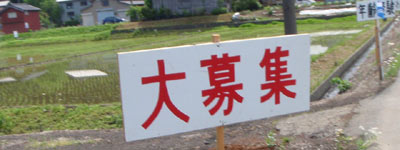 f:id:mitchel-uehara:20210518101612p:plain