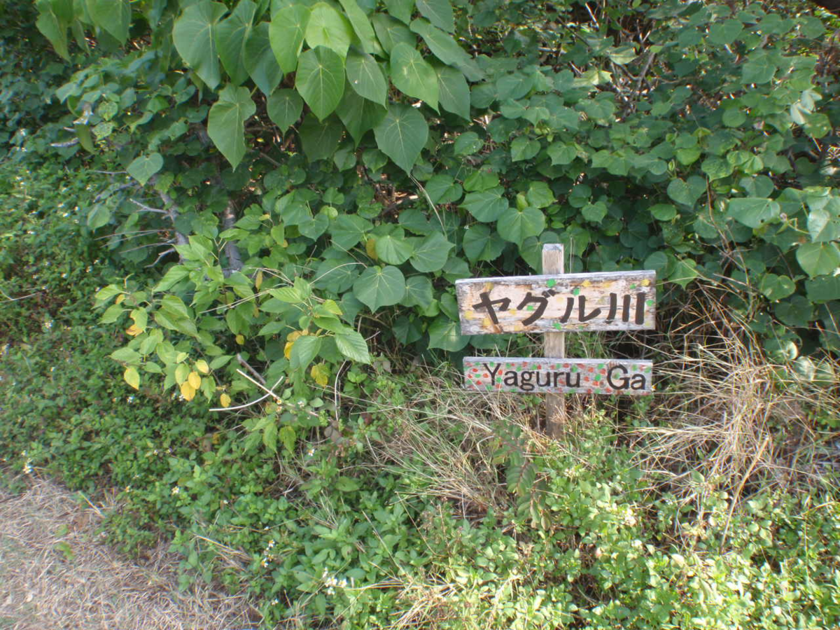 f:id:mitchel-uehara:20210530162433p:plain
