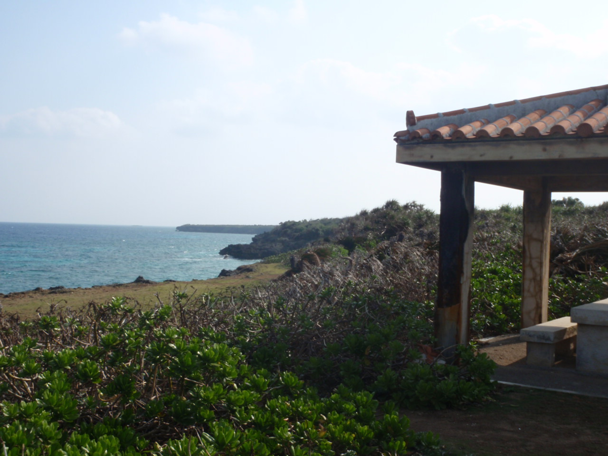 f:id:mitchel-uehara:20210530162456p:plain