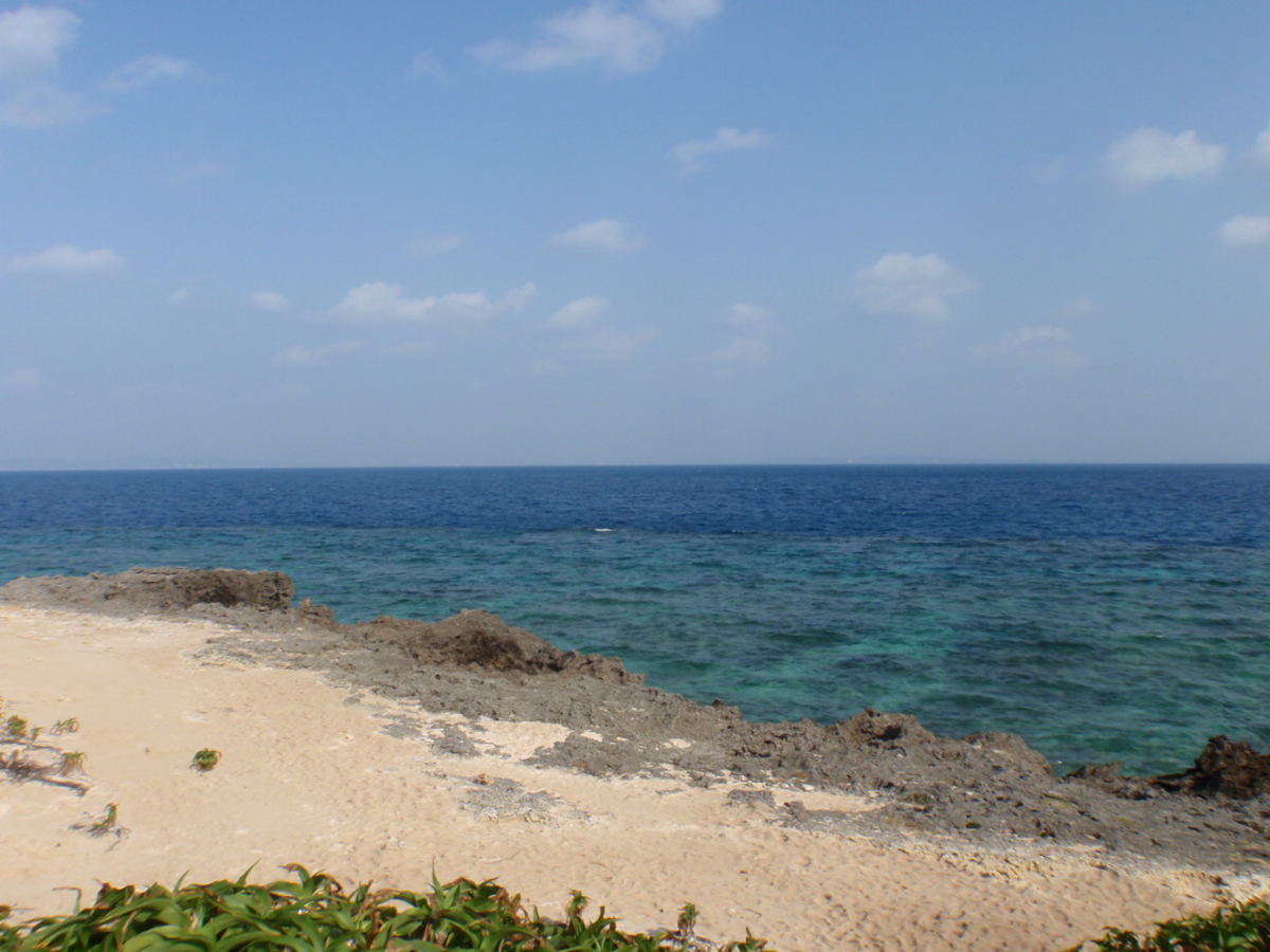 f:id:mitchel-uehara:20210530162542p:plain