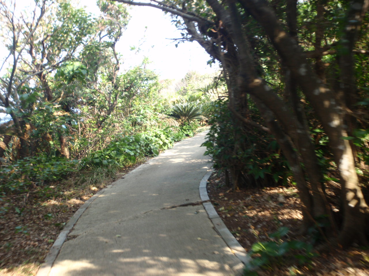 f:id:mitchel-uehara:20210530162650p:plain