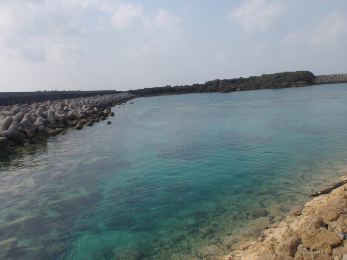 f:id:mitchel-uehara:20210530162817p:plain