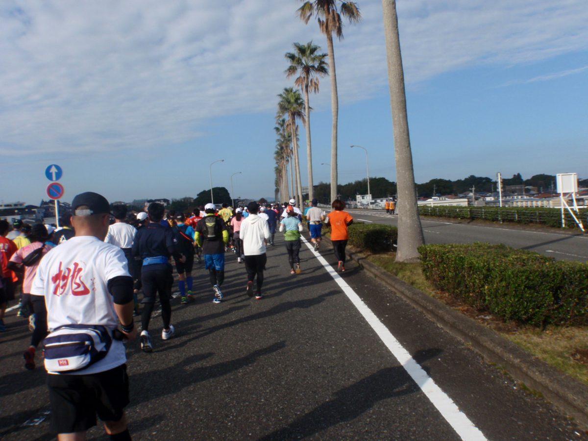 f:id:mitchel-uehara:20210531121602p:plain