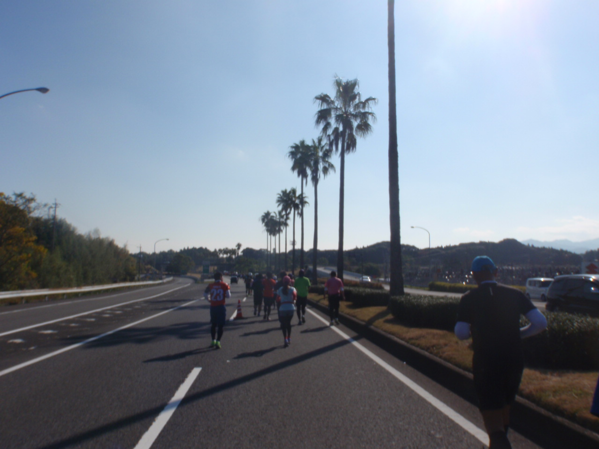 f:id:mitchel-uehara:20210531121817p:plain