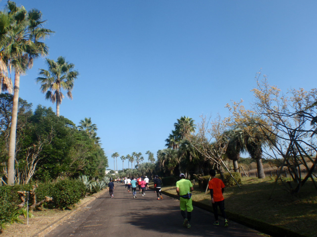 f:id:mitchel-uehara:20210531121857p:plain