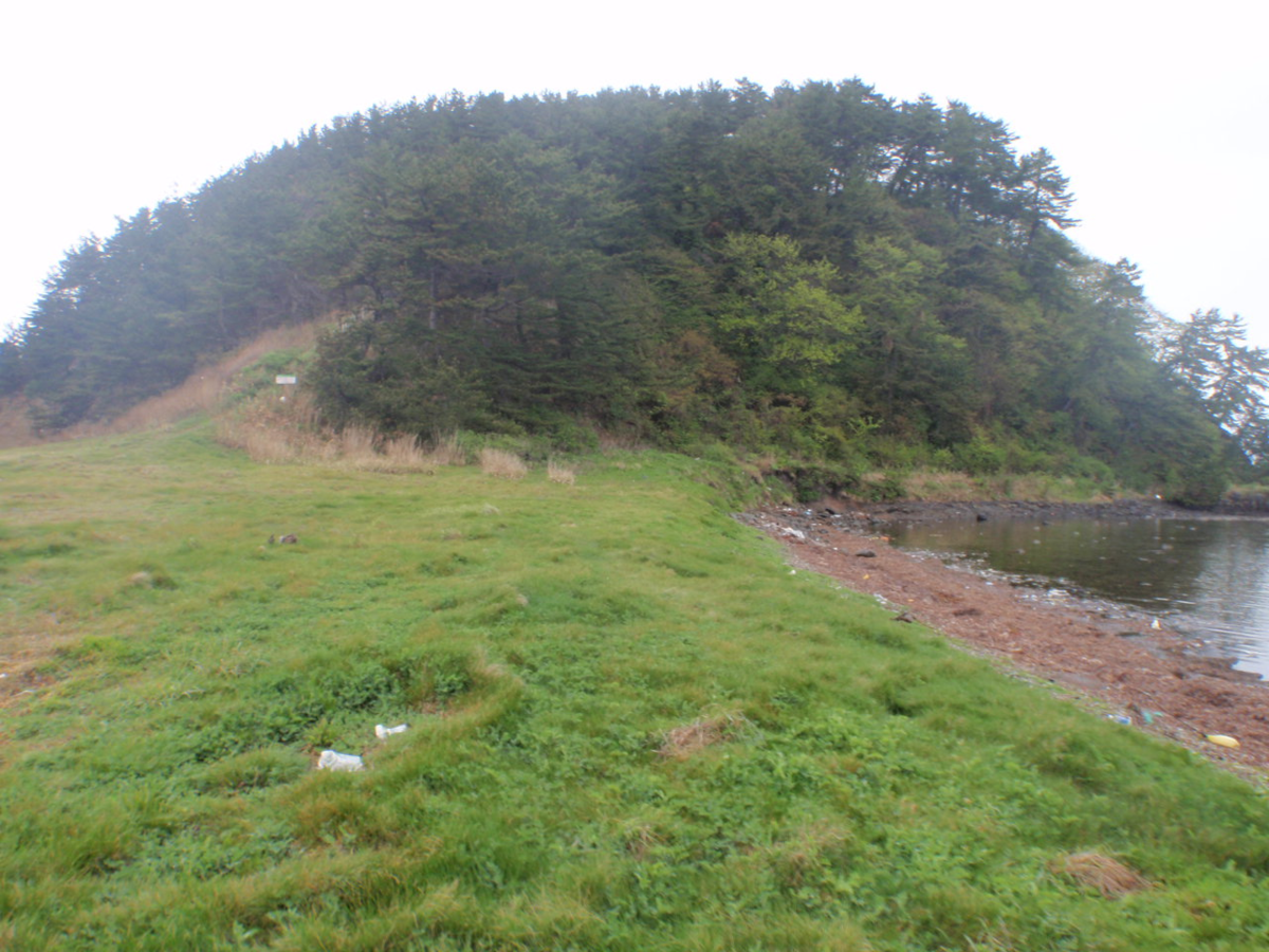 f:id:mitchel-uehara:20210602190245p:plain