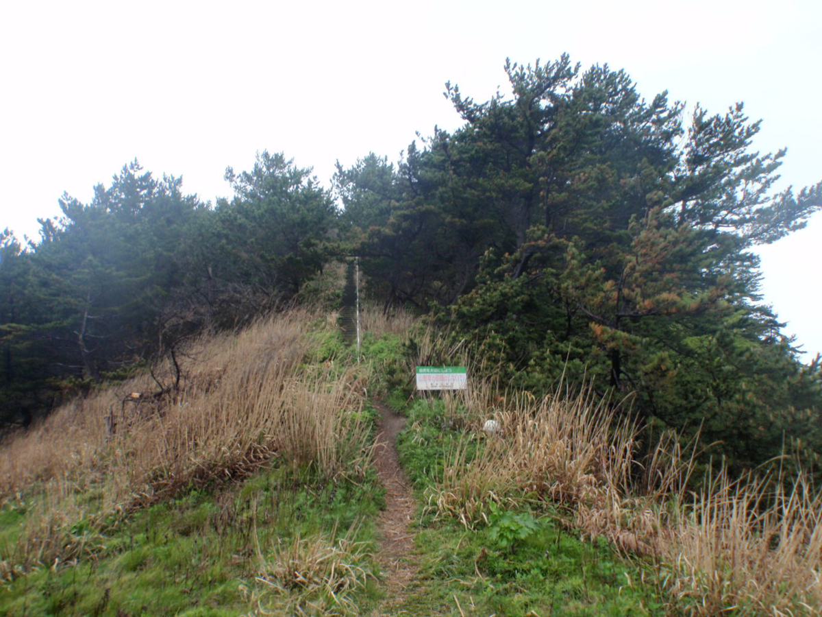 f:id:mitchel-uehara:20210602190309p:plain