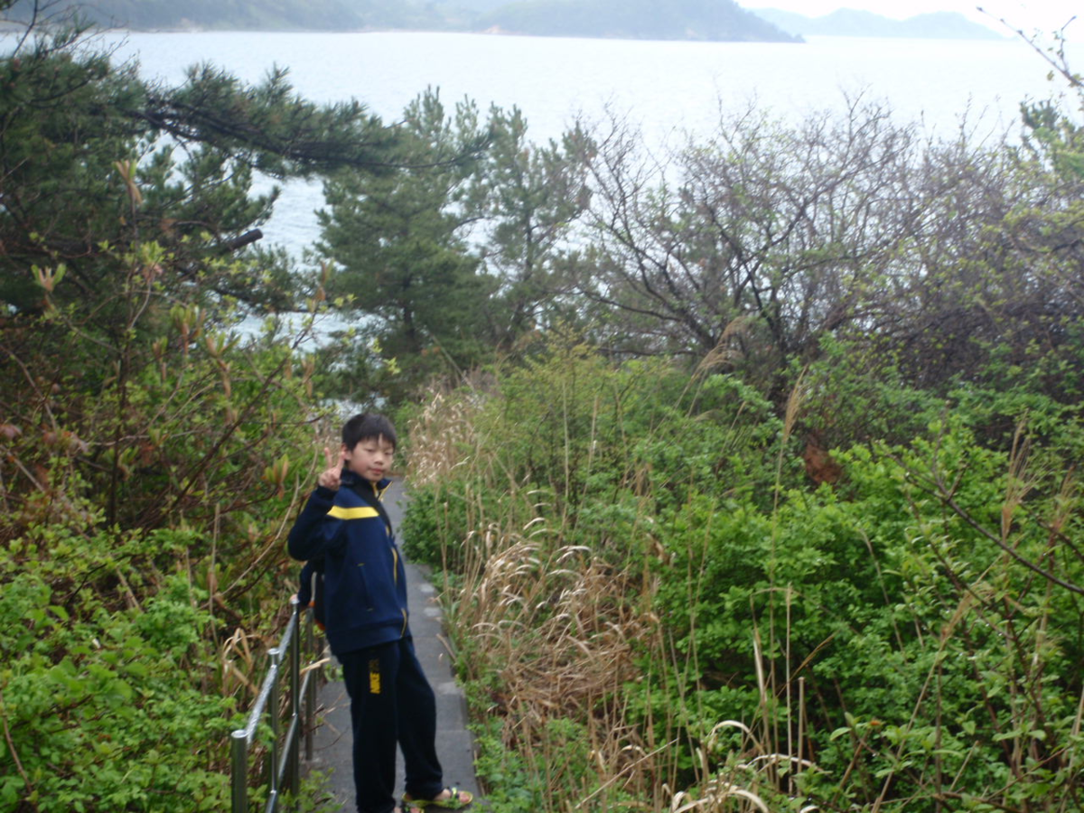 f:id:mitchel-uehara:20210602190516p:plain