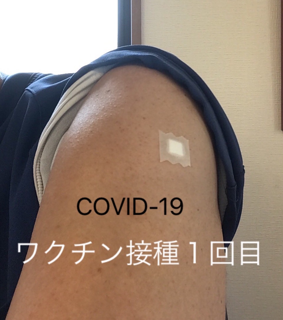 f:id:mitchel-uehara:20210609100725j:plain