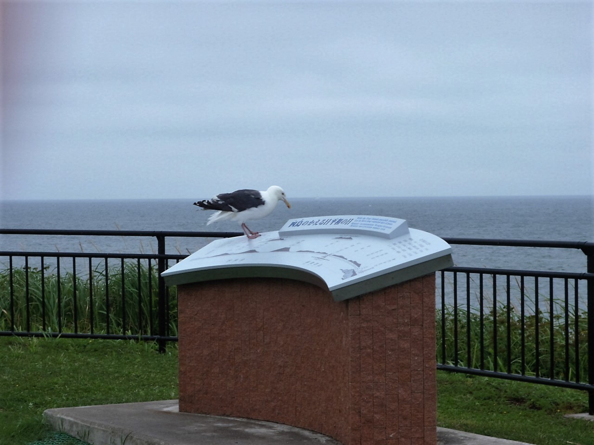 f:id:mitchel-uehara:20210617210133p:plain