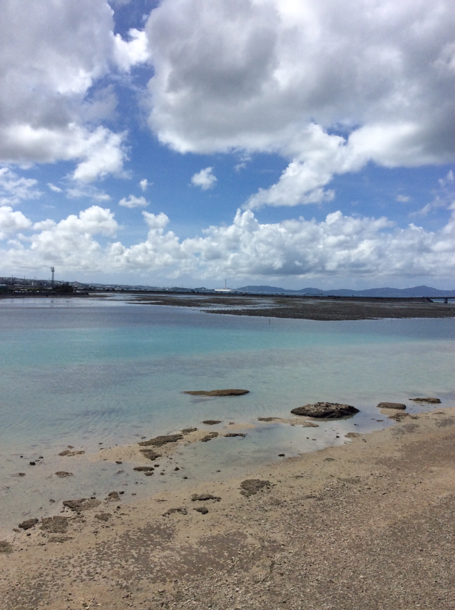 f:id:mitchel-uehara:20210702235634p:plain