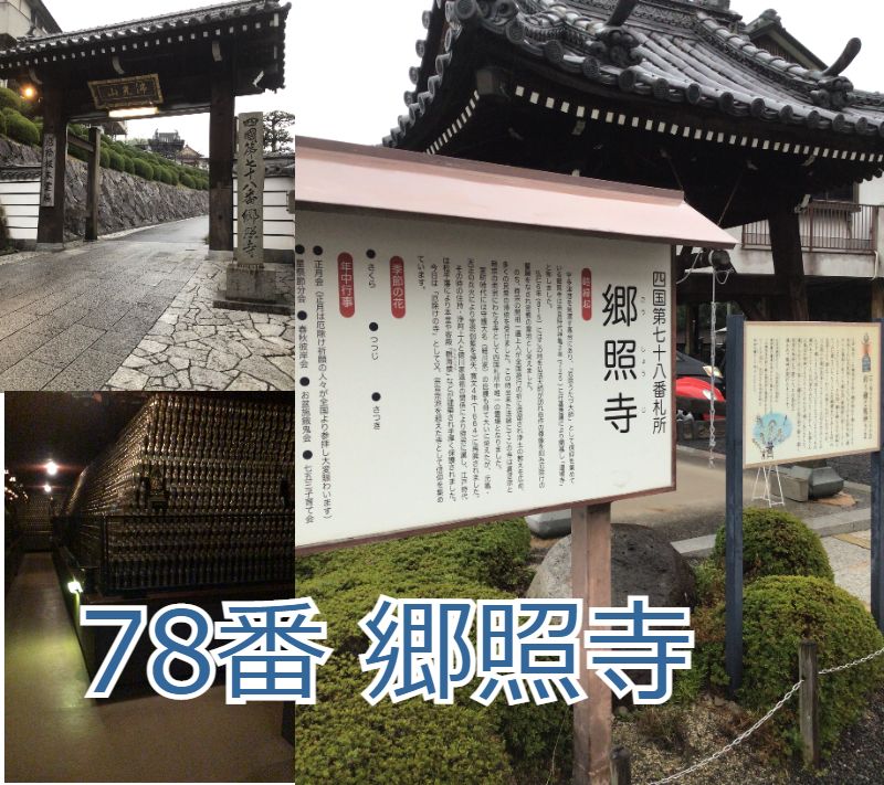 f:id:mitchel-uehara:20211207184628j:plain