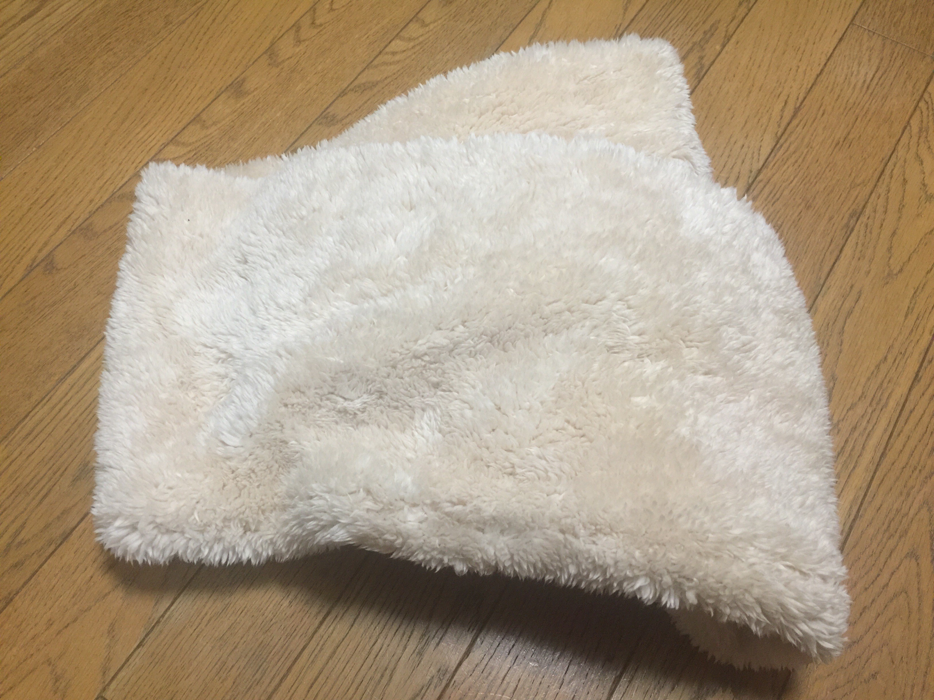 f:id:mitihydrangea:20180127093600j:image f:id:mitihydrangea:20180127093600j:image