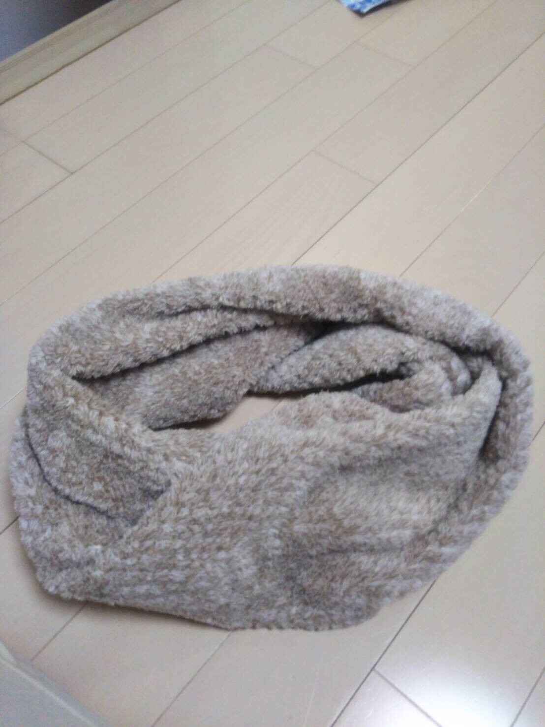 f:id:mitihydrangea:20180215215041j:image f:id:mitihydrangea:20180215215041j:image