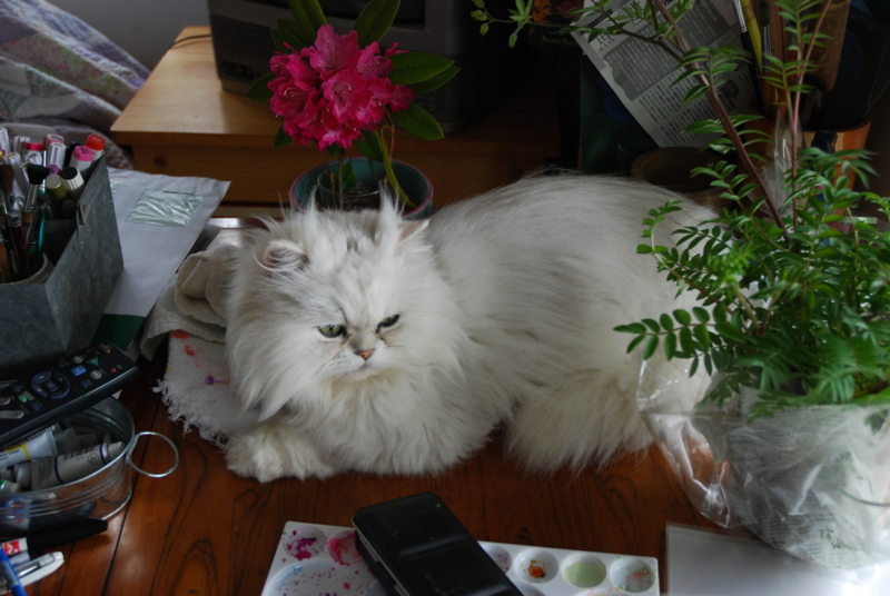 f:id:mitioyoneko:20100429093246j:image