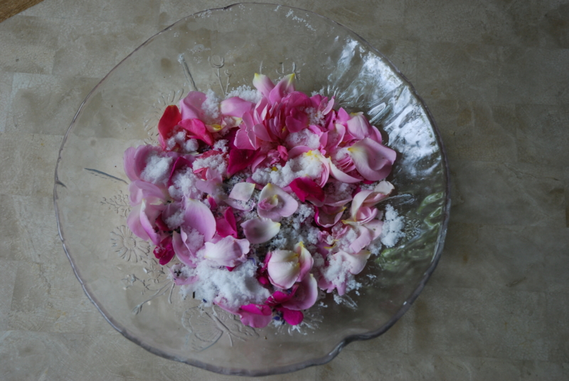 f:id:mitioyoneko:20100606160408j:image