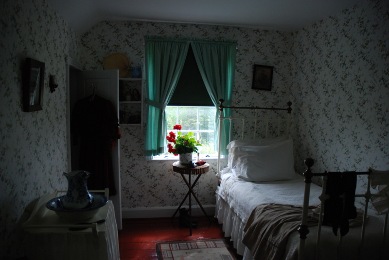 f:id:mitioyoneko:20100619230301j:image