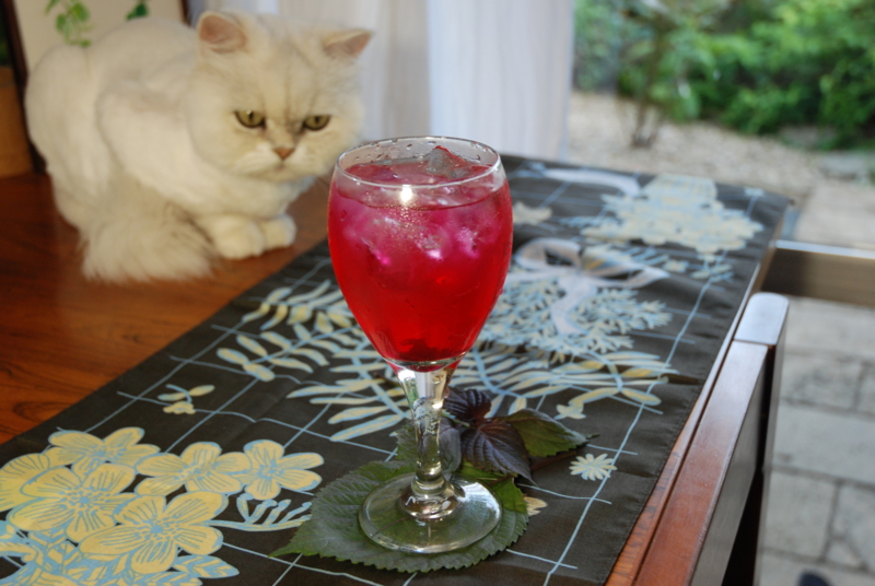 f:id:mitioyoneko:20100724181800j:image