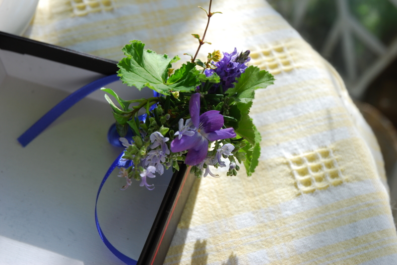 f:id:mitioyoneko:20101228092858j:image