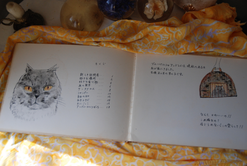 f:id:mitioyoneko:20110225102805j:image