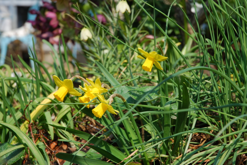 f:id:mitioyoneko:20110325095219j:image