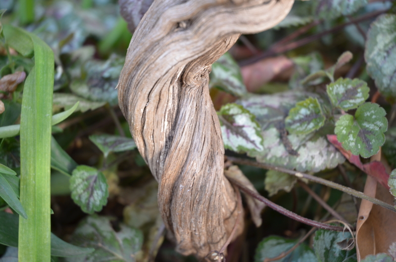 f:id:mitioyoneko:20120119090452j:image