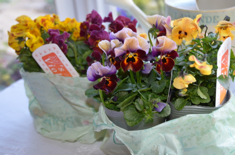 f:id:mitioyoneko:20120130165312j:image