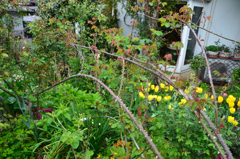 f:id:mitioyoneko:20120419091649j:image