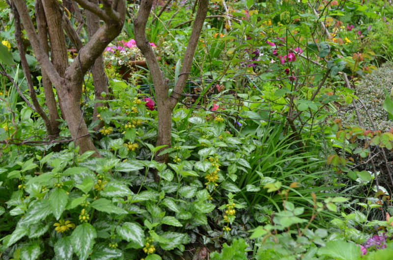 f:id:mitioyoneko:20120419093953j:image