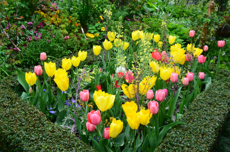 f:id:mitioyoneko:20120423100037j:image